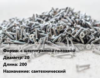 Шуруп с шестигранной головкой 20х200 сантехнический, шт цена от 43.65 ₼ / кг, где купить, условия доставки в Баку и Бакинская области